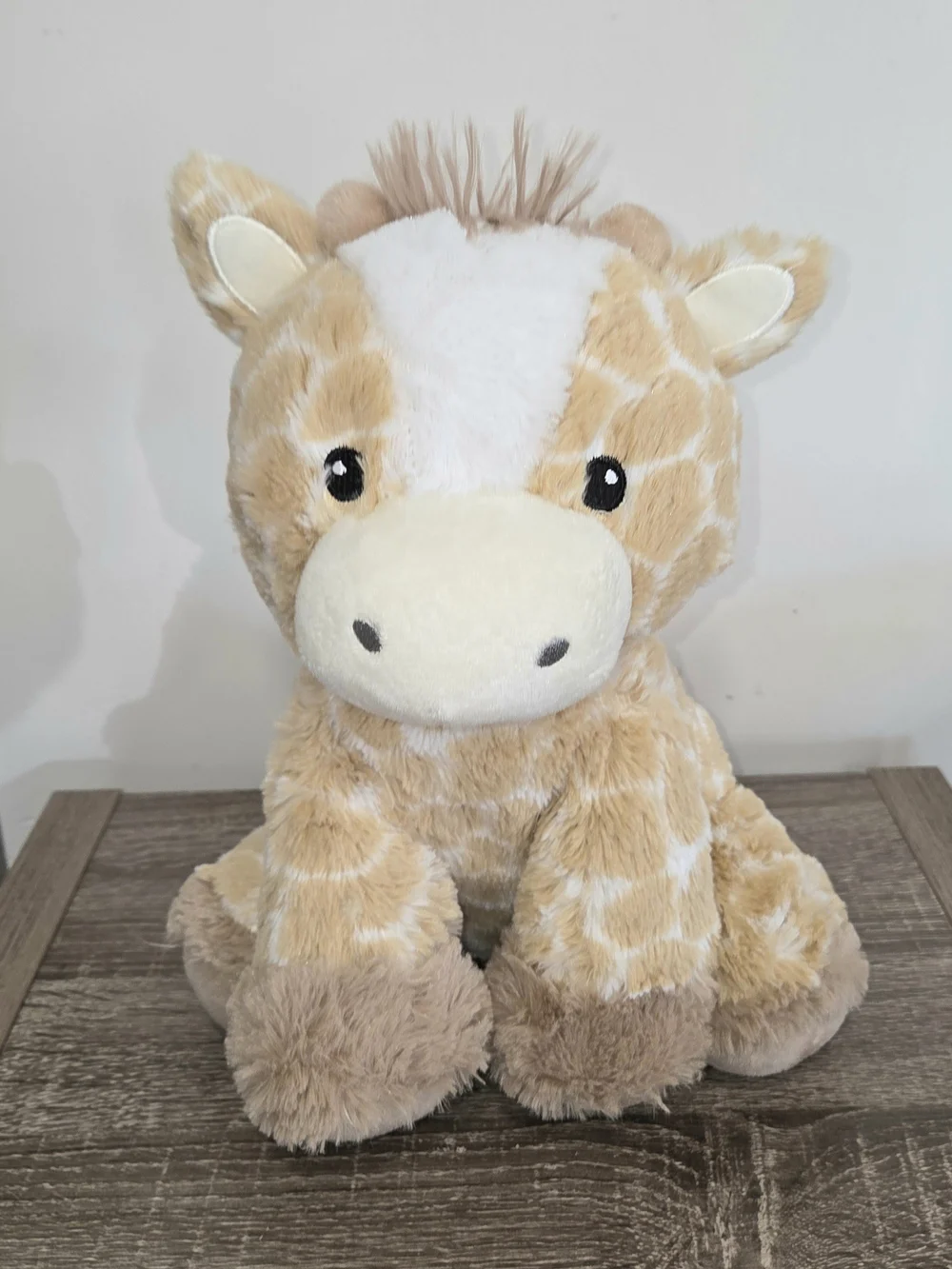 Rachel Zoe Baby Rattle Safari Baby Giraffe Stuffed Animal Plush Toy 11